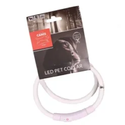 Active Canis, LED Halsbånd USB, Hvid