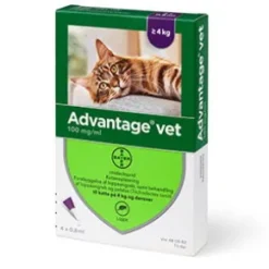 Advantage Kat, 4+ kg
