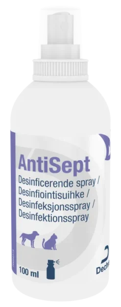 AntiSept Klorhexidin Spray 100 ml