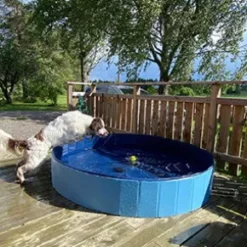 Dogman Hundepool