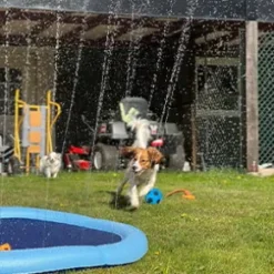 Dogman Vandfontæne Bassin