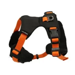 Dogman Y-Sele Justerbar, Sport