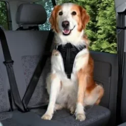 Dog Protect sikkerhedssele til hunde