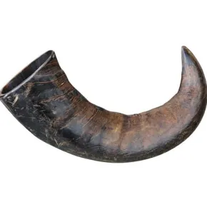 Genuine Buffalo Tyggeben, Large