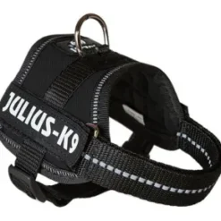 Julius K9 IDC sele, Baby 2