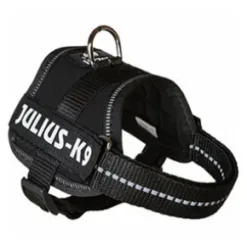 Julius K9 IDC sele, Mini