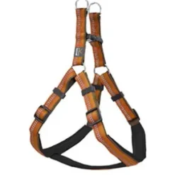 Kennel Equip Dog Harness. Hundesele, Orange