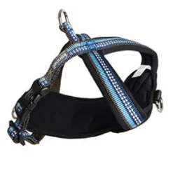 Kennel Equip Dog Multi Harness Active