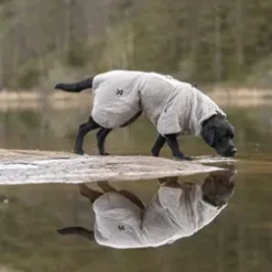 Non-Stop Dogwear Drying Coat