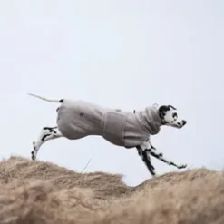 Non-Stop Dogwear Drying Coat