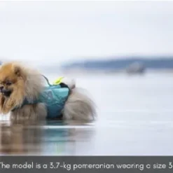 Non-Stop Dogwear Protector life jacket