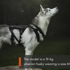 Non-Stop Dogwear Rock Harness Long, Black/Orange
