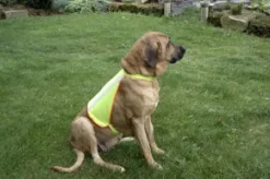 Refleksvest til hund