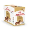 Royal Canin Dachshund Adult 12x85 g, vådfoder