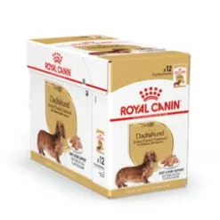 Royal Canin Dachshund Adult 12x85 g, vådfoder