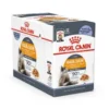 Royal Canin FCN Hair & Skin Jelly 12x85g