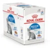 Royal Canin Indoor Cat, Jelly 12x85g