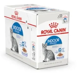 Royal Canin Indoor Cat, Jelly 12x85g