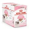 Royal Canin Kitten, Loaf Vådfoder, 12x85g