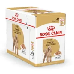 Royal Canin Poodle Adult 12x85g, vådfoder