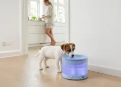 Savic Sensa Smart Drikkevandsfontæne, 2,3L