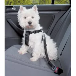 Sikkerhedssele til hunde
