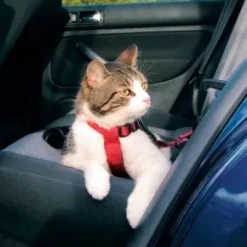Sikkerhedssele til katte